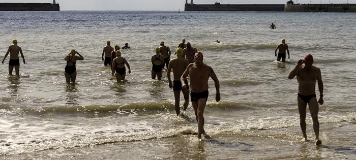 Swimmers hit Dover Harbour