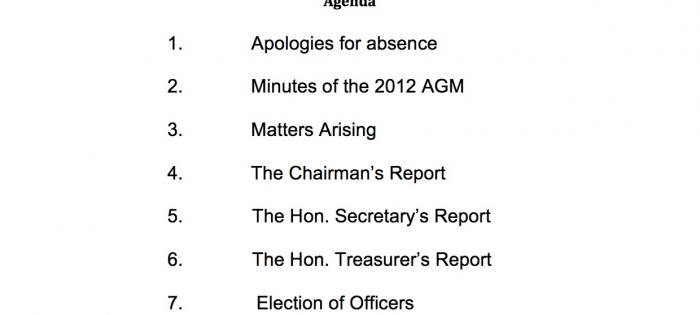 2013 AGM Agenda